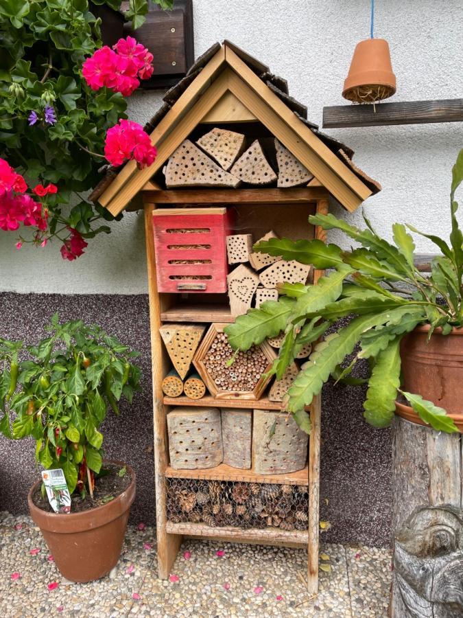 Ferienwohnung Sonnschein Bad Mitterndorf Εξωτερικό φωτογραφία